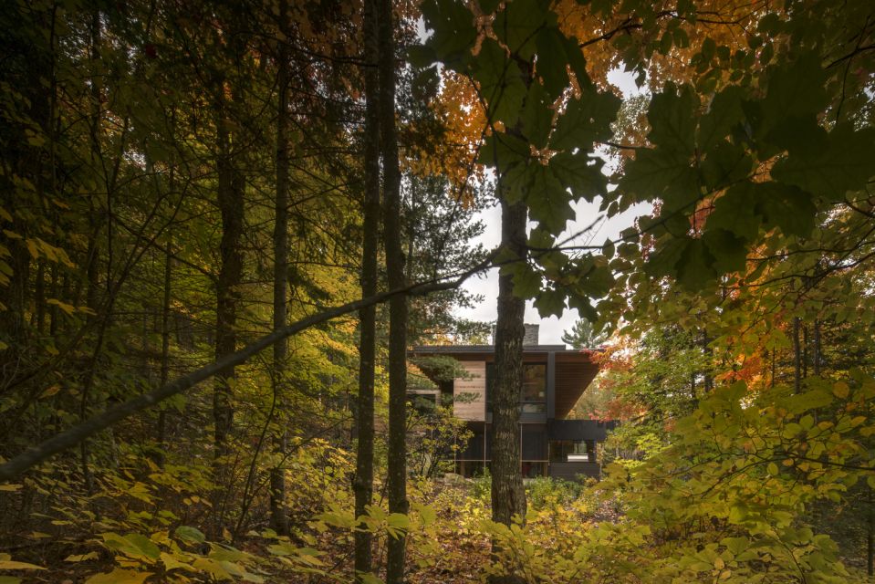 The Bear Stand Residence © Nic Lehoux Photography