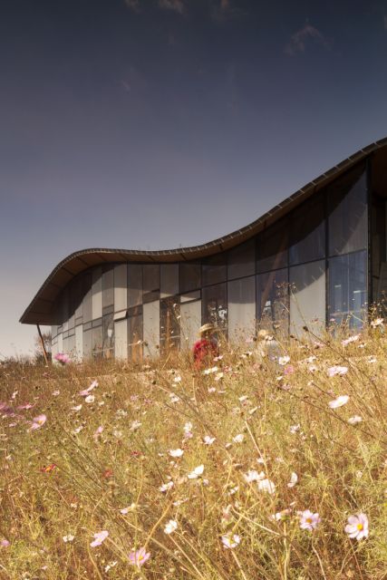 Visitor Center © Nic Lehoux Photography