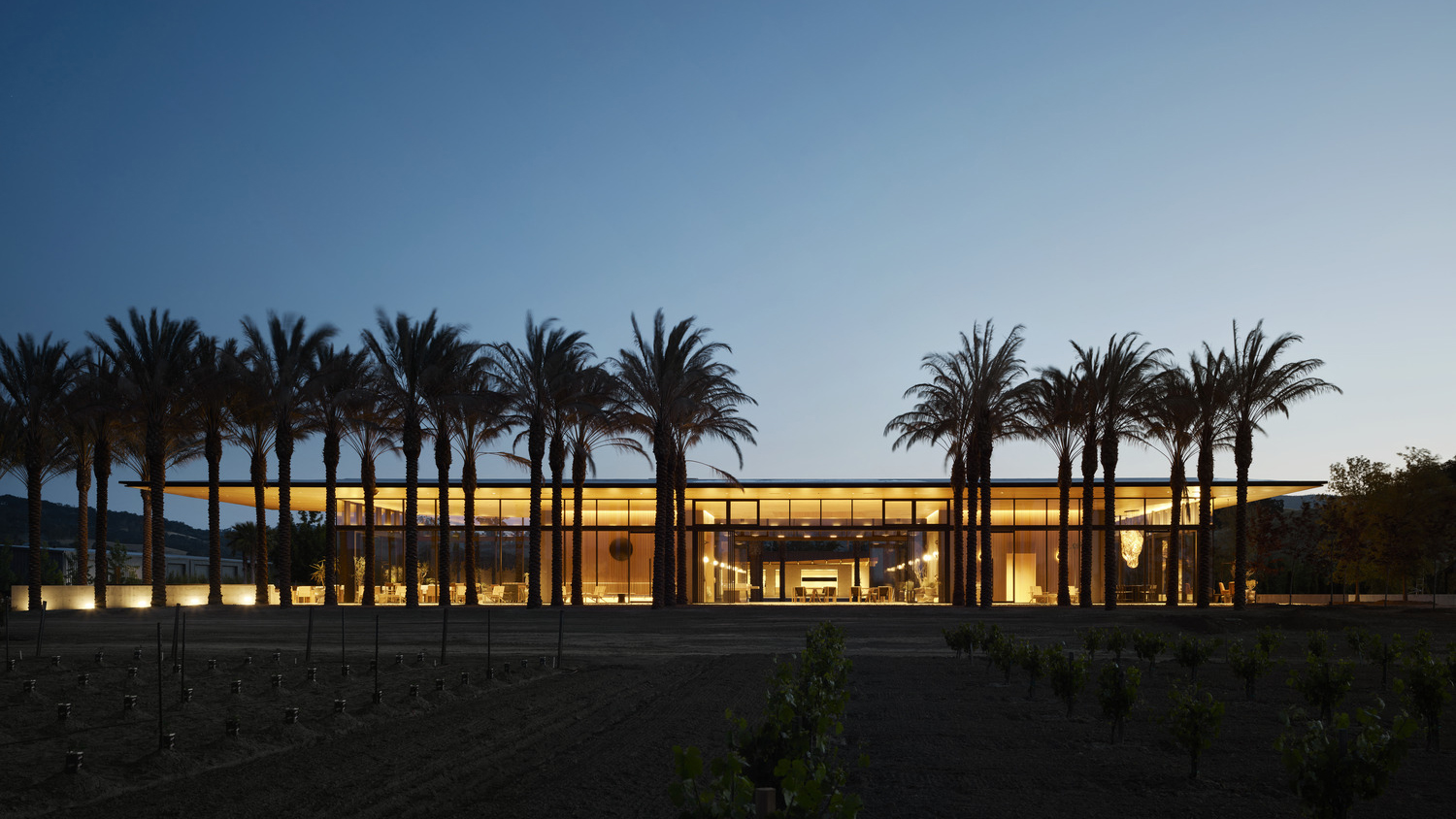 Caymus Suisun Winery
