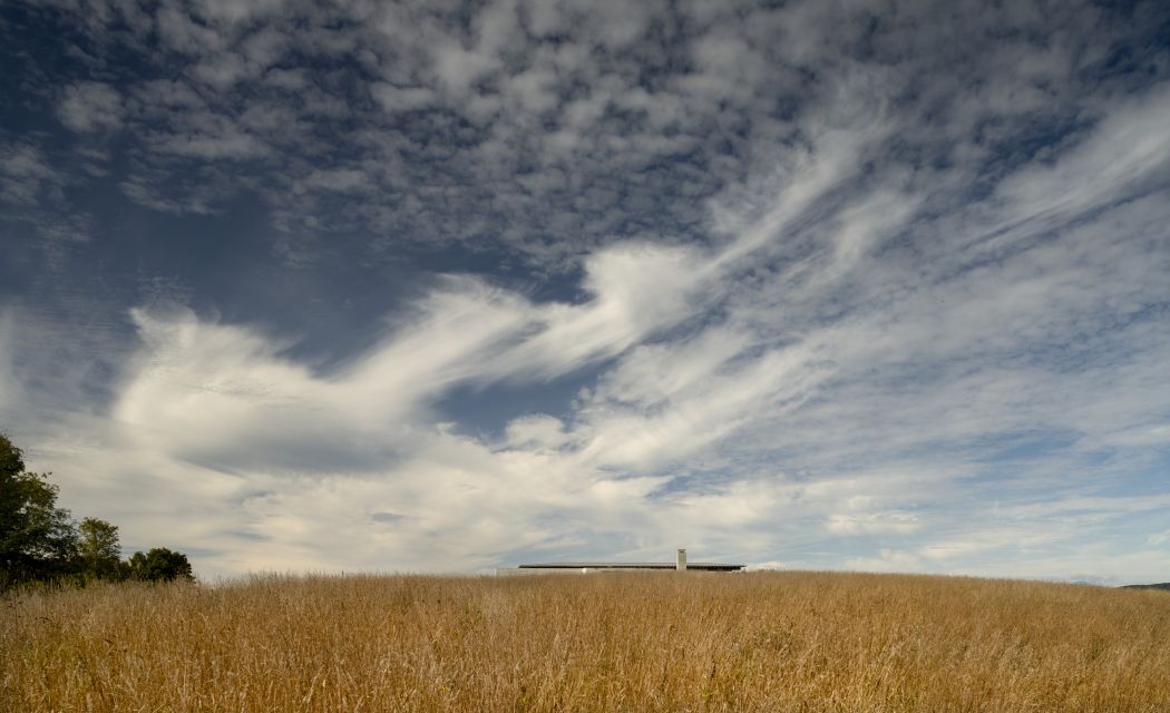 An image of Gallatin Residence in the meadow.