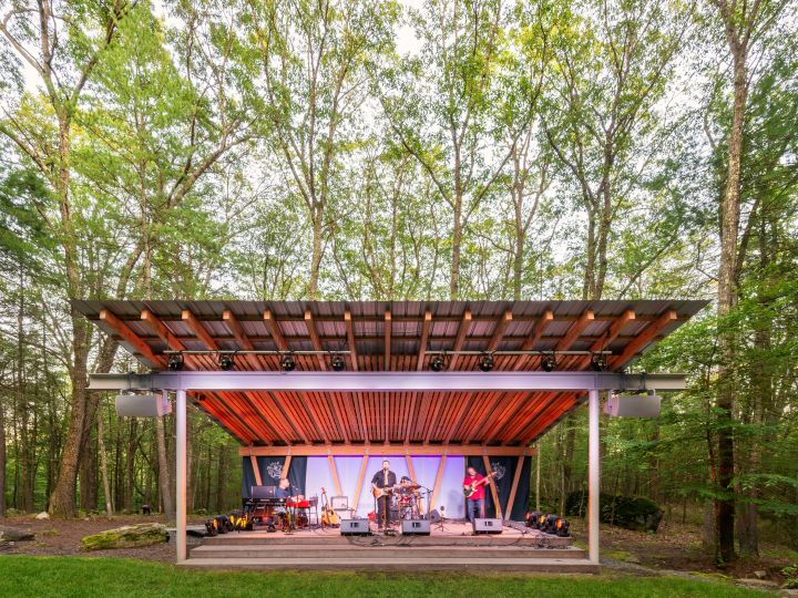 Harmony in the Woods